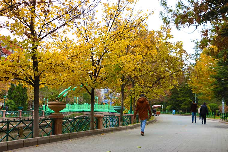 Sonbahar mevsimi ile birlikte ağaçların yapraklarında oluşan renkler, Eskişehir’de kartpostallık görüntüler oluşturdu. 