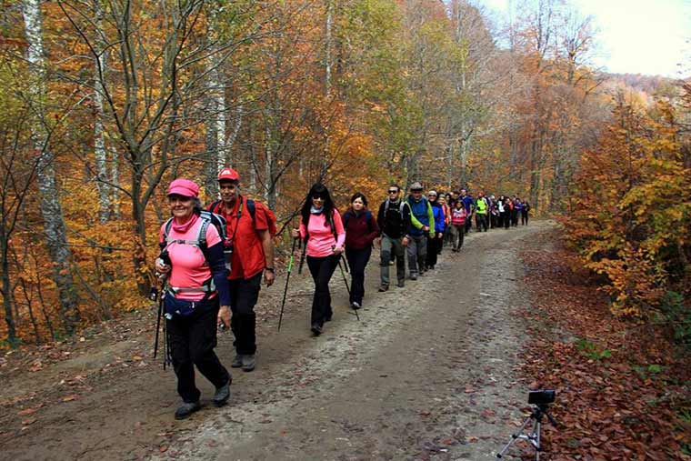 ESDOGE (Eskişehir Doğa Gezginleri) grubu sonbaharı Kütahya Domaniç Ormanları’nda gerçekleştirilen yürüyüşle karşıladı. Doğa tutkunlarına yürüyüşlerinde sonbaharın eşsiz manzaraları eşlik etti.