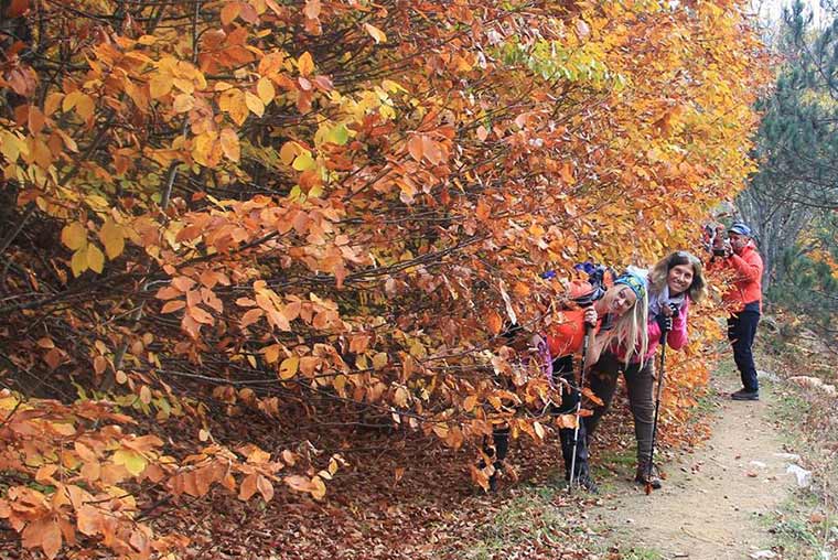 ESDOGE (Eskişehir Doğa Gezginleri) grubu sonbaharı Kütahya Domaniç Ormanları’nda gerçekleştirilen yürüyüşle karşıladı. Doğa tutkunlarına yürüyüşlerinde sonbaharın eşsiz manzaraları eşlik etti.