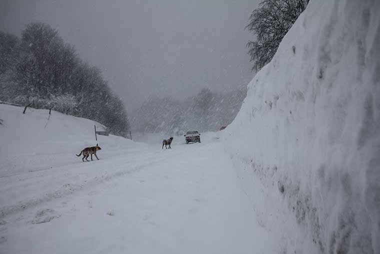 Bursa-Eskişehir yolu Mezitler mevkisinde yoğun kar yağışı, tipi ve buzlanma nedeniyle kayan tır yolu ulaşıma kapattı.