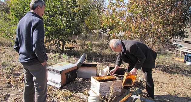 Hisarcık'ta 30 arı kovanını yaktılar
